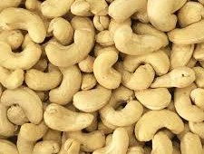 cashew nut